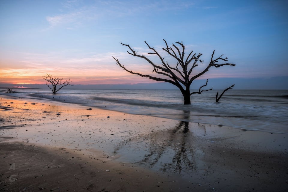 Una playa con un árbol sin hojas en primer plano y una puesta de sol al fondo.