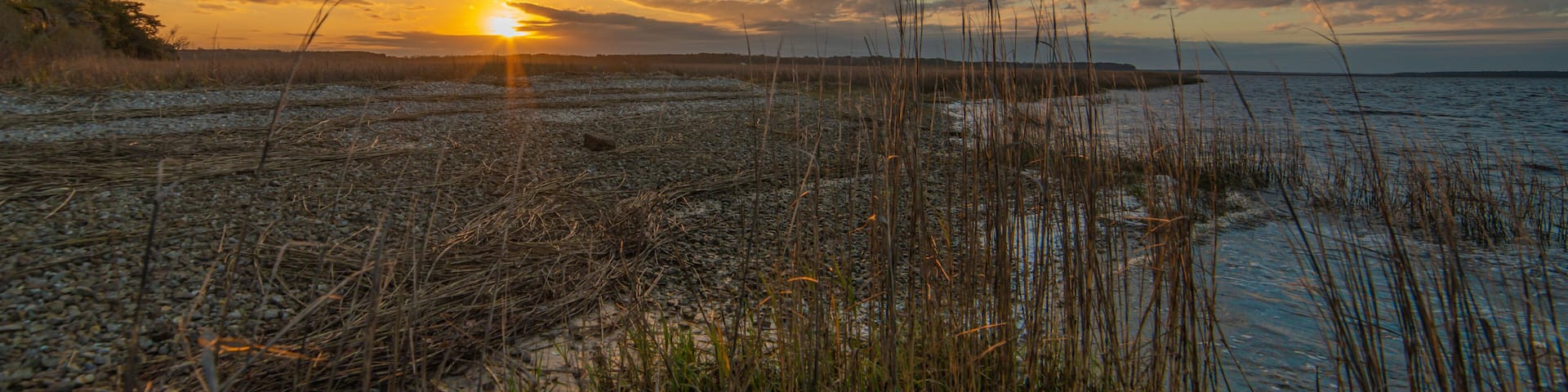 Sunset beauty in the low country