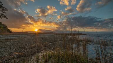 Sunset beauty in the low country