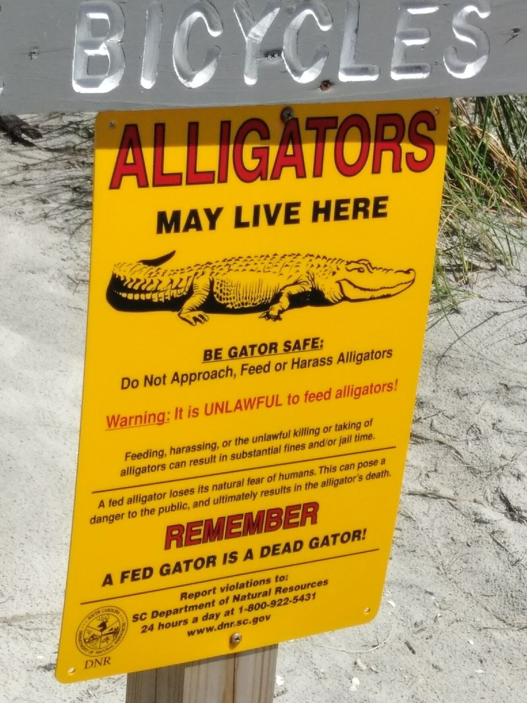 Just a friendly reminder for beach patrons