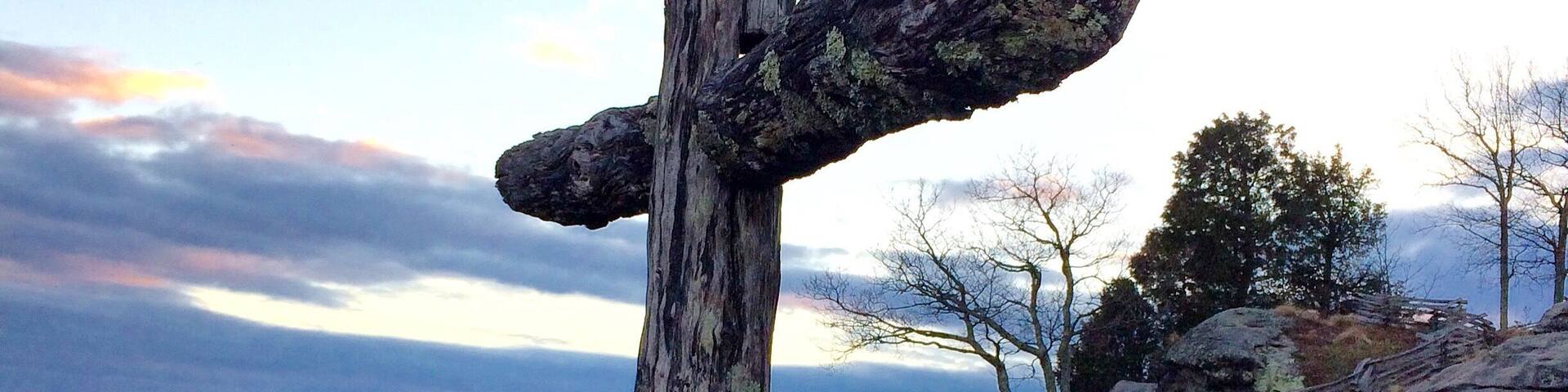 Drove over to the chapel to see if it was a place that we would like to have a wedding for my daughter, when I got there I was awestruck at the beauty. Took this photo with my iPhone 5s