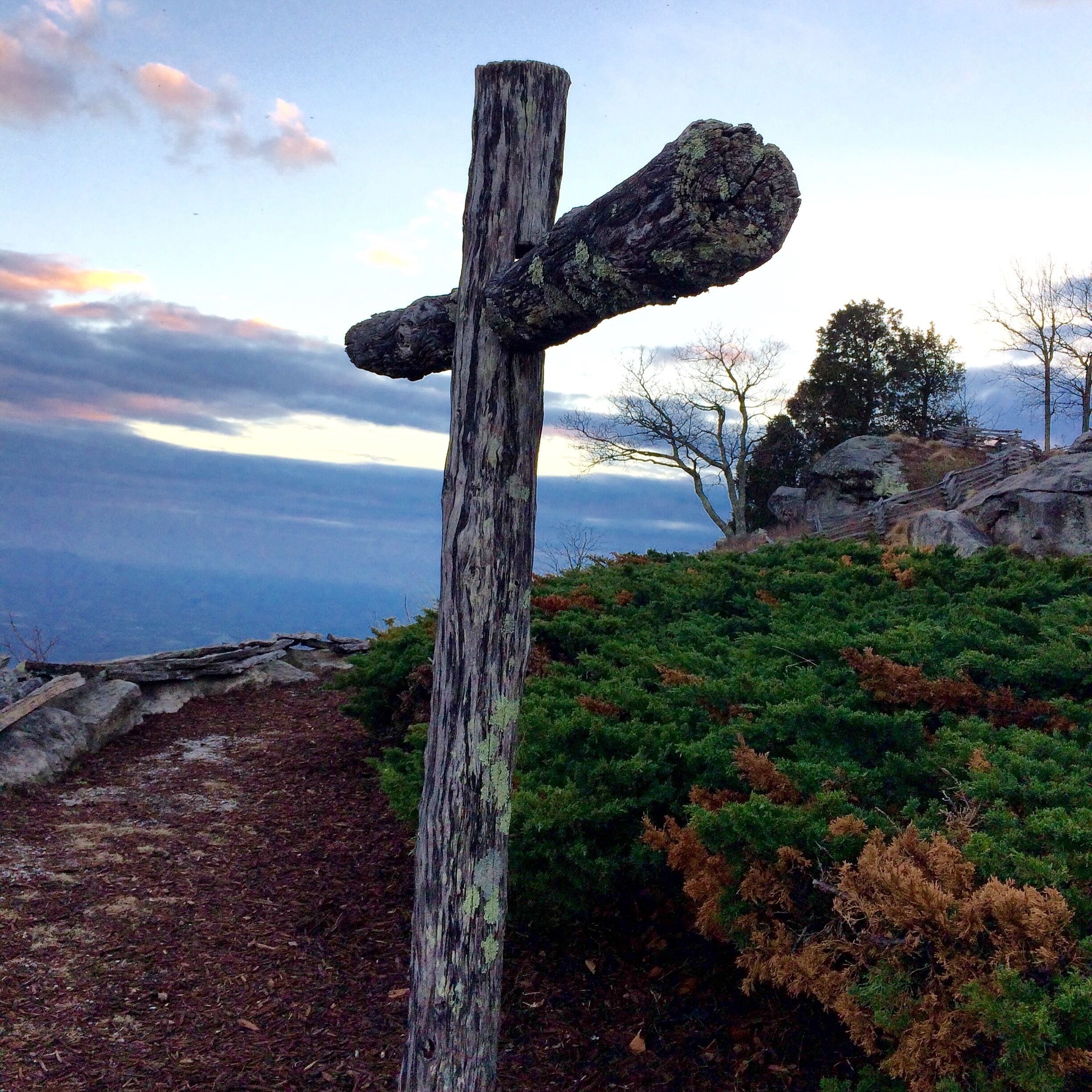A wooden signpost with a forked path, surrounded by greenery and overlooking a mountainous landscape.