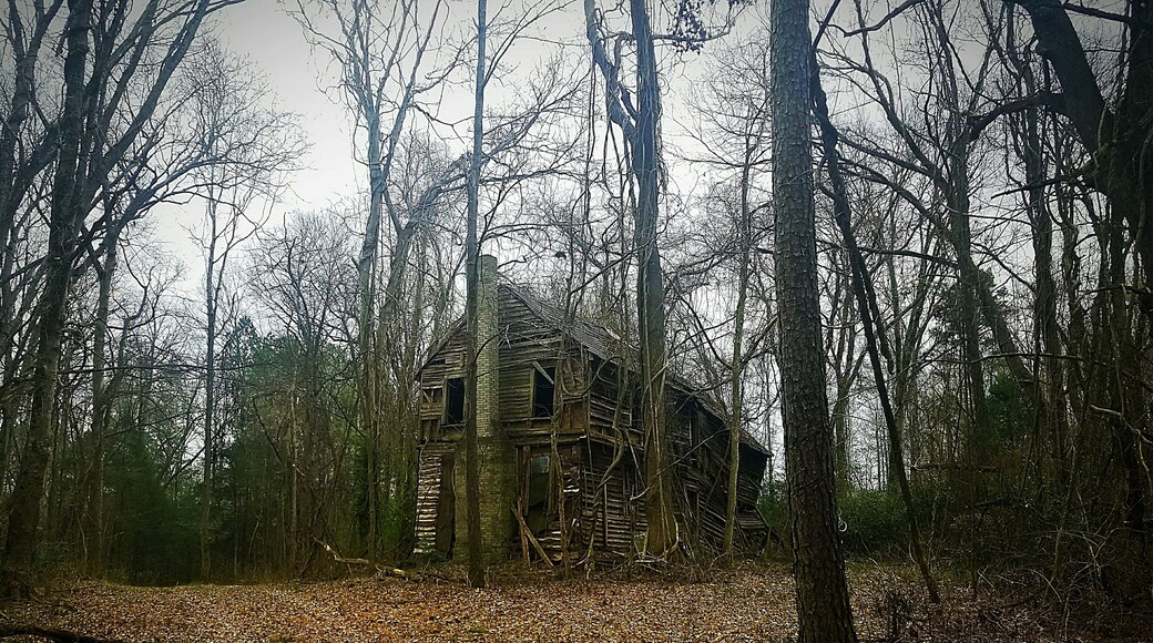 If this old beauty could talk? What kind of family lived here? How many children lived here, what did the parents do for a living? What happened that it fell into disrepair?