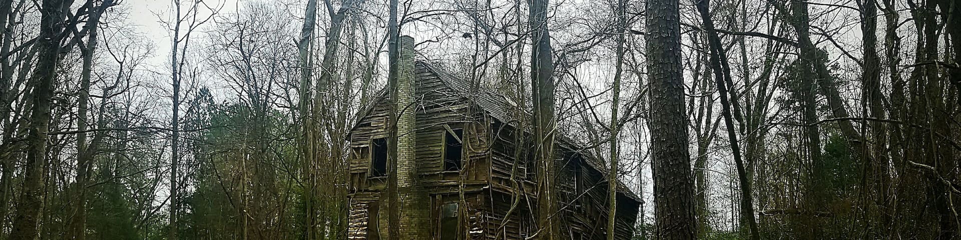 If this old beauty could talk? What kind of family lived here? How many children lived here, what did the parents do for a living? What happened that it fell into disrepair?