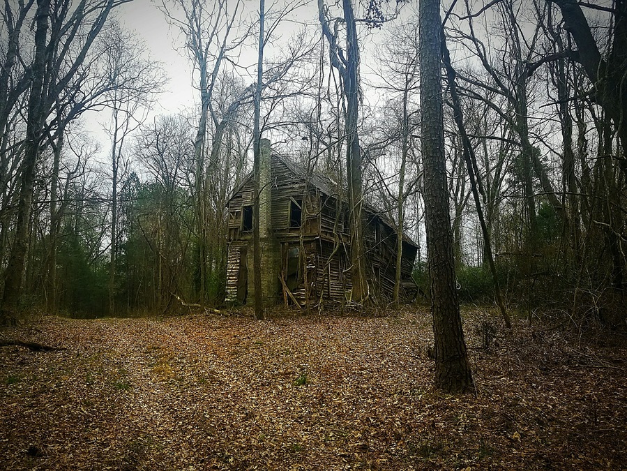 If this old beauty could talk? What kind of family lived here? How many children lived here, what did the parents do for a living?  What happened that it fell into disrepair?