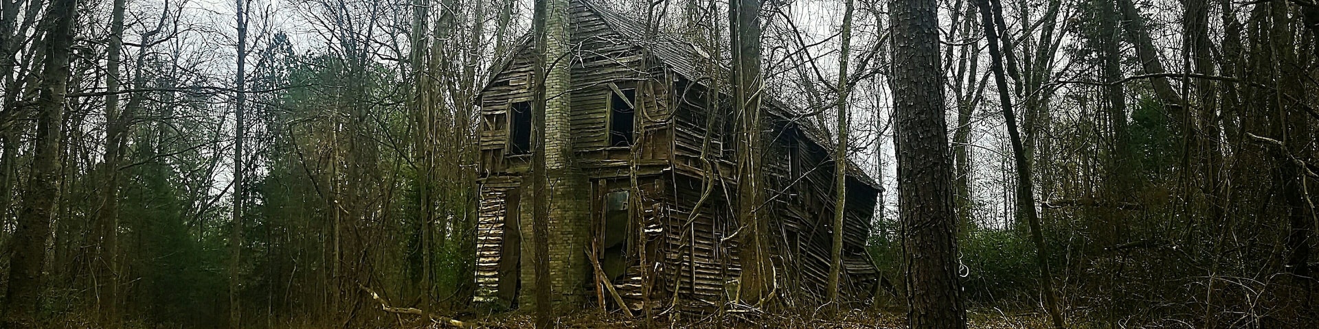 If this old beauty could talk? What kind of family lived here? How many children lived here, what did the parents do for a living? What happened that it fell into disrepair?