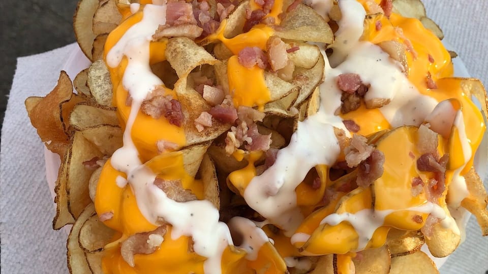 A plate of loaded potato chips with melted cheese, bacon bits, and a white sauce.