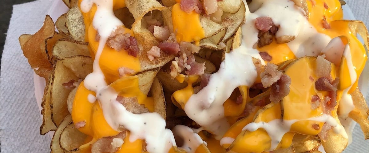 A plate of loaded potato chips with melted cheese, bacon bits, and a white sauce.