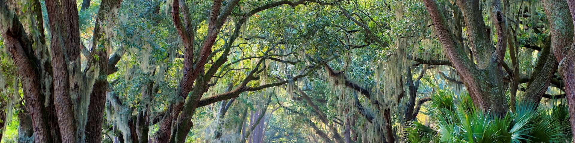 Hilton Head Island, South Carolina, USA, Sea Pines Plantation
