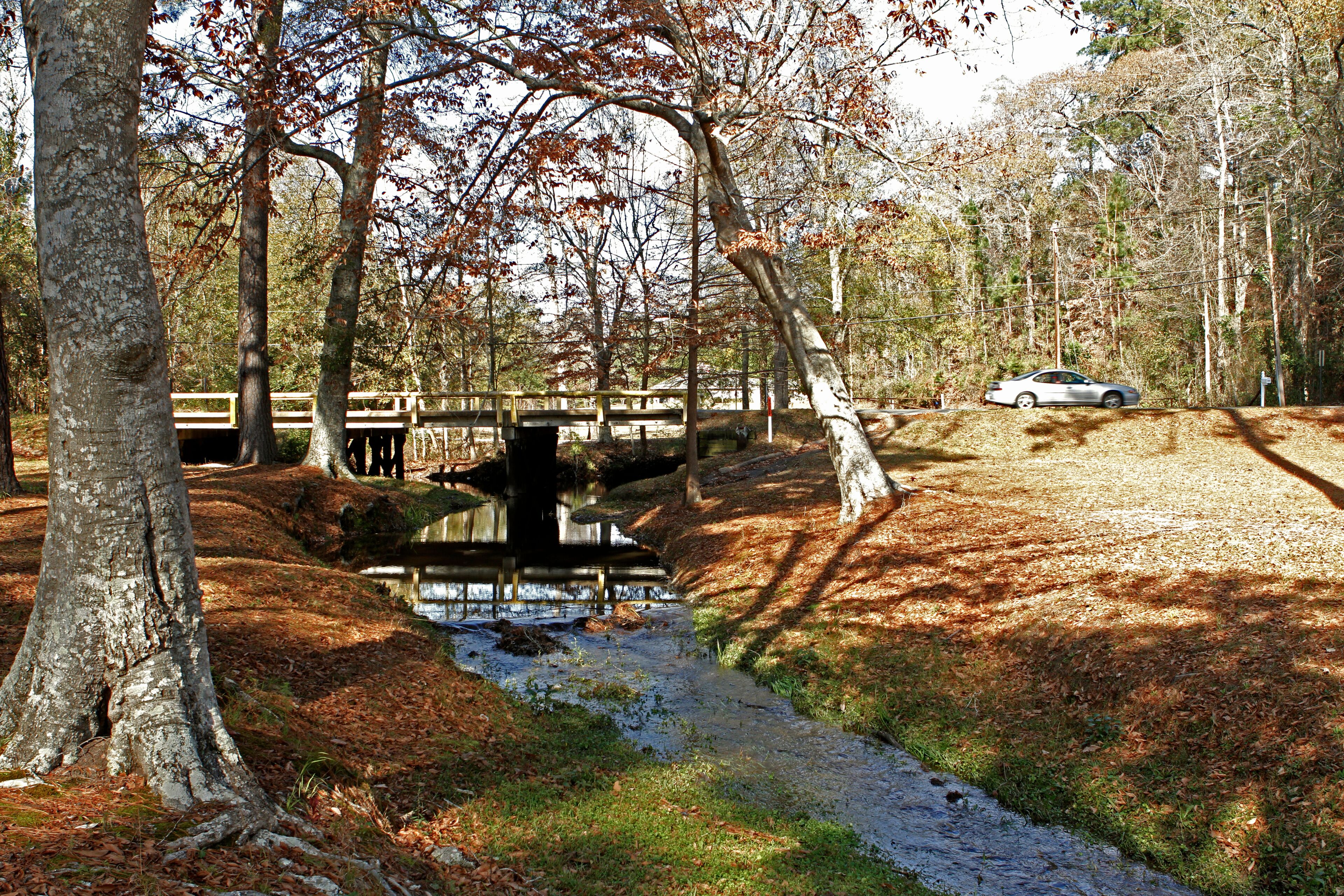 Un parc avec un pont enjambant un ruisseau, entouré d’arbres, et une voiture garée à proximité.