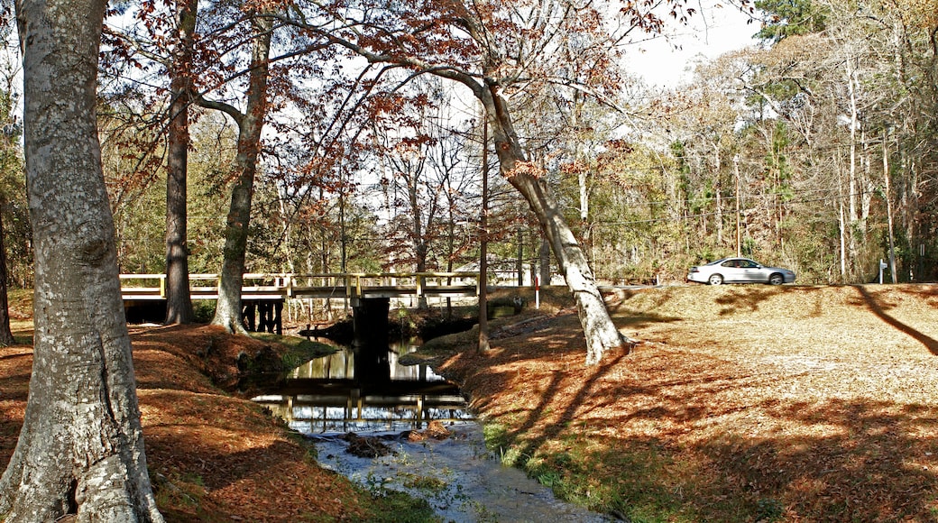 Un parc avec un pont enjambant un ruisseau, entourĂ© dâarbres, et une voiture garĂ©e Ă proximitĂ©.
