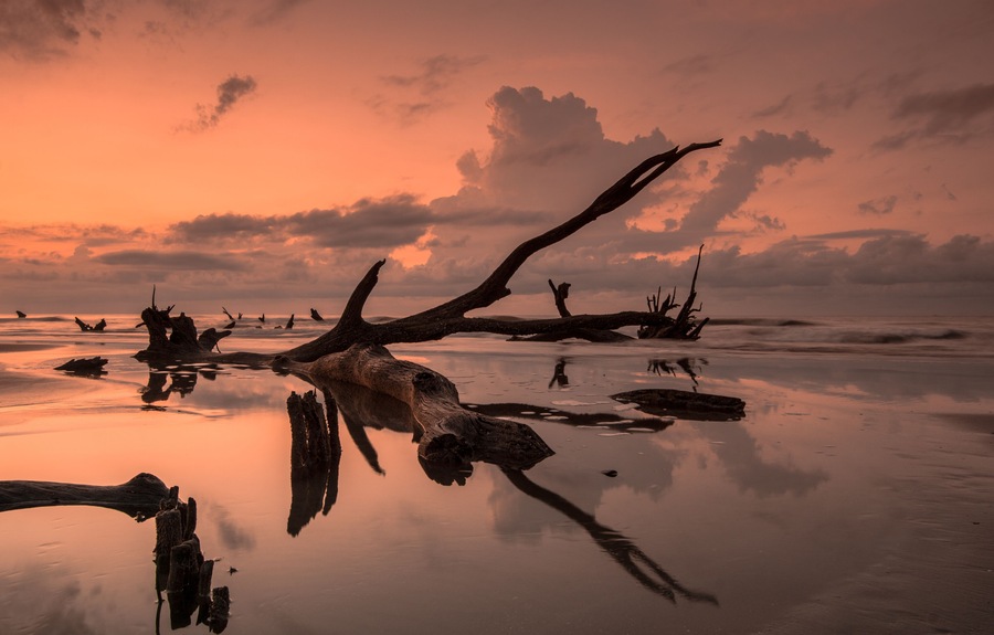 sunrise on a calm and empty beach with driftwood and reflections