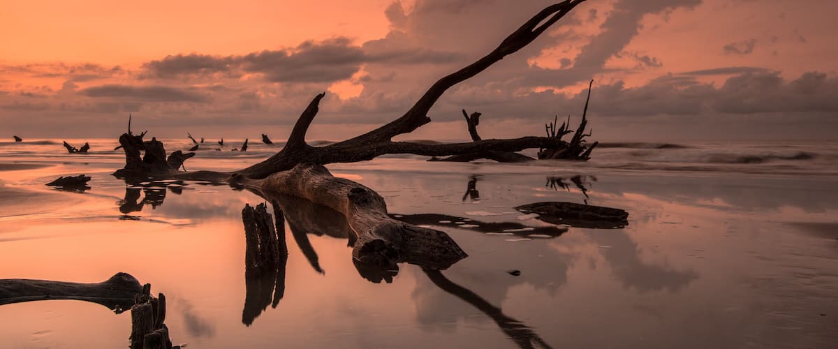 A sunset over a beach with fallen trees reflecting on the water.
