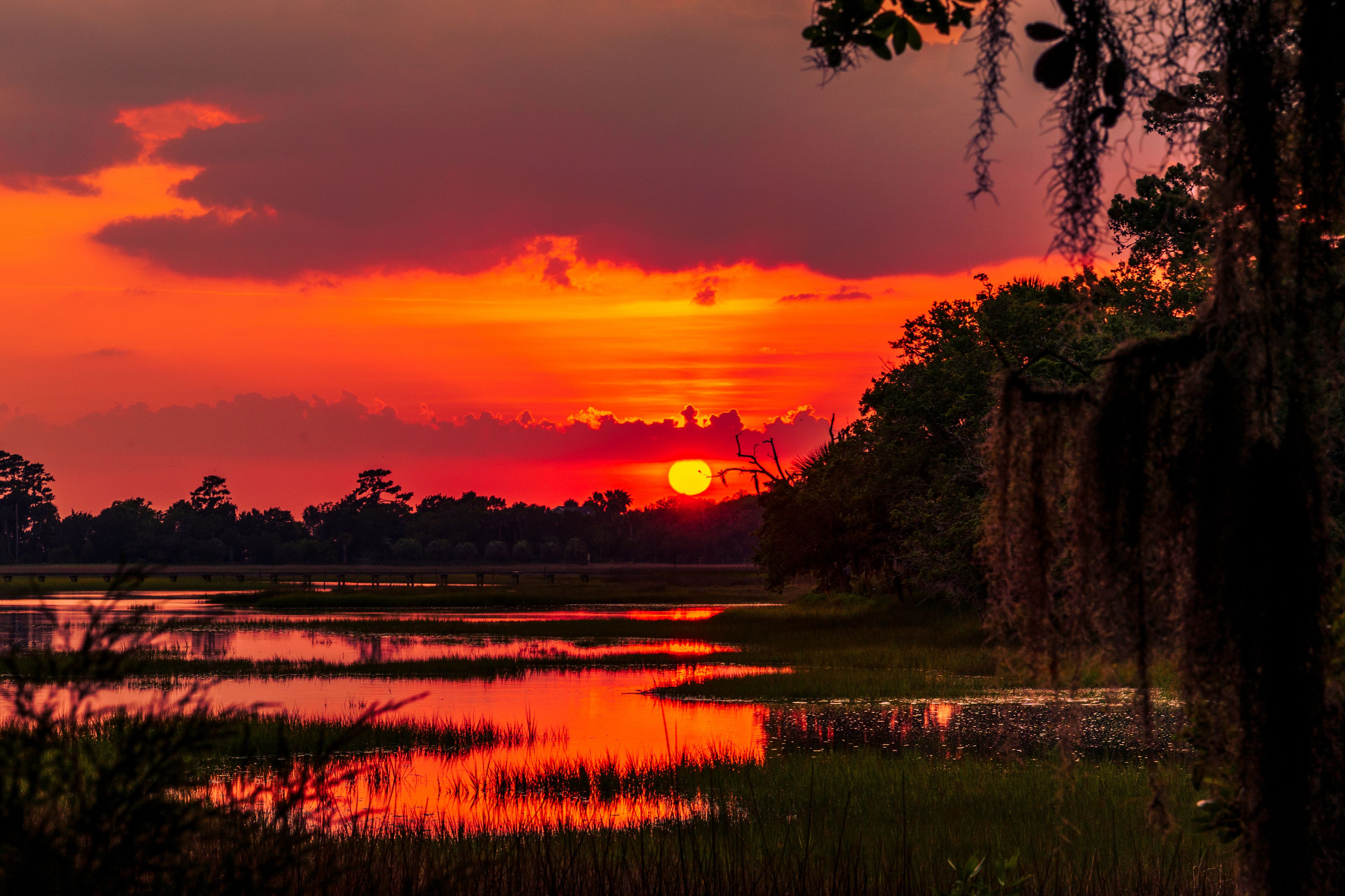 A sunset over a body of water with reflections, surrounded by trees and vegetation.