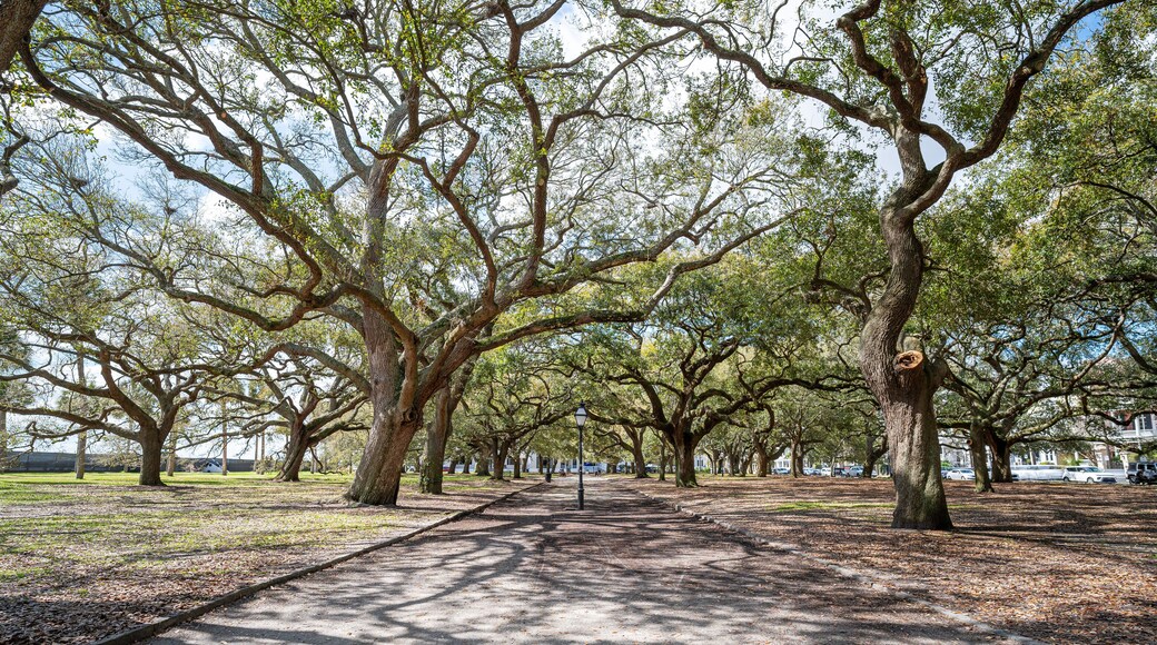 White Point Garden at the Battery in Charleston South Carolina with Southern Live Oak Trees.