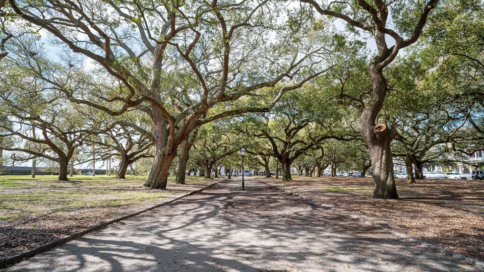 White Point Garden at the Battery in Charleston South Carolina with Southern Live Oak Trees.