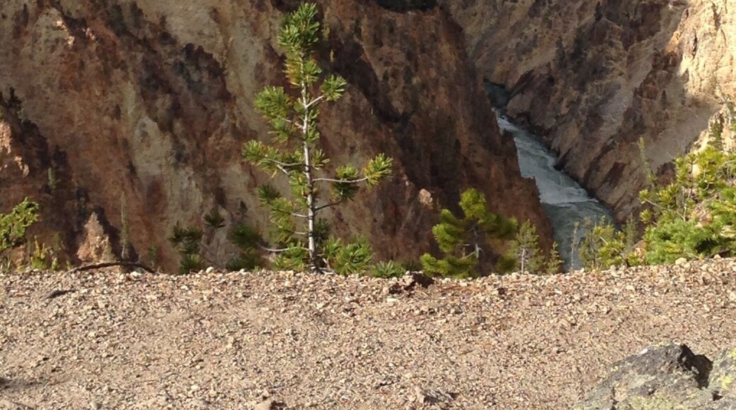 This was one of the pretty sights. We climbed lots of cliffs. It was very pretty.💍