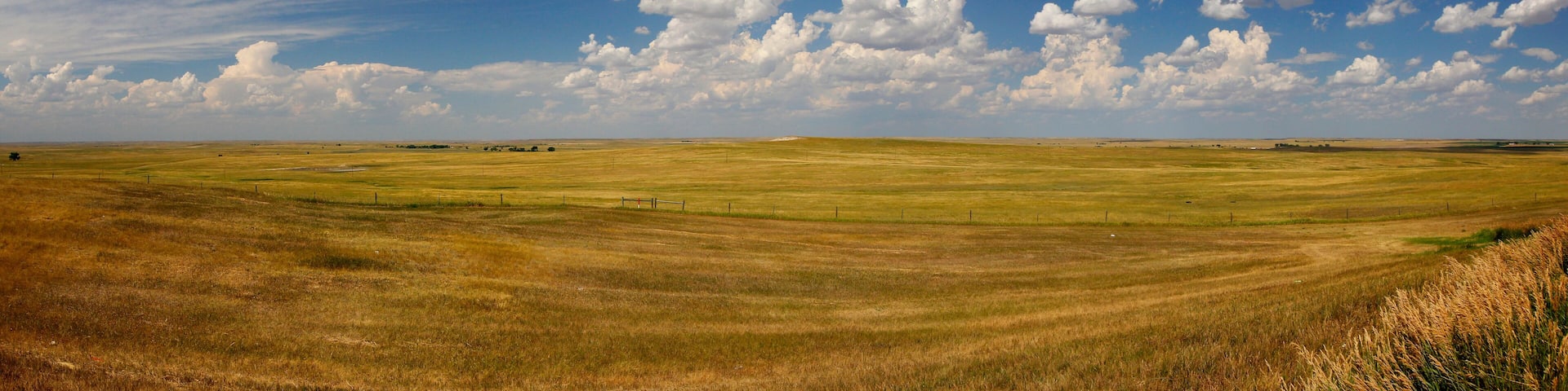The Great Plains of South Dakota in Summer