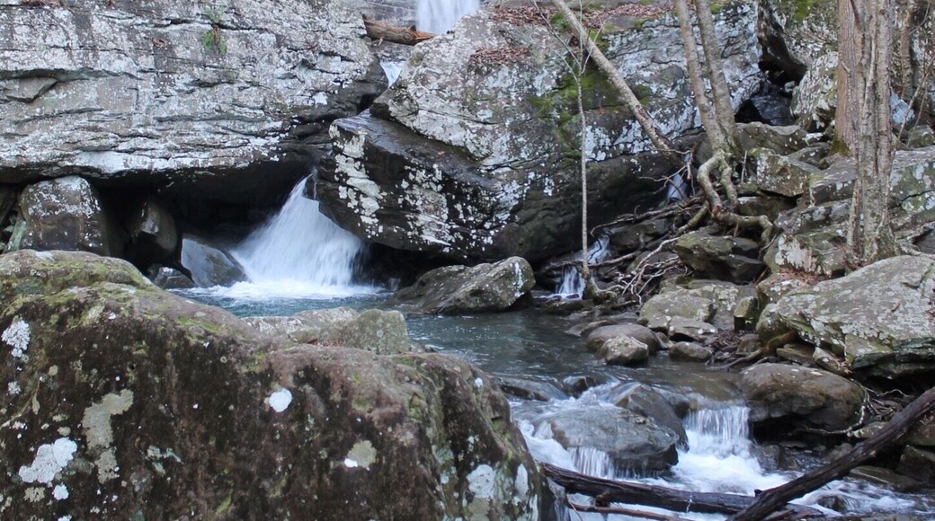 My first trip to the bottom of the falls