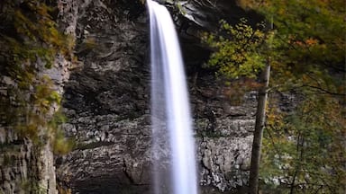 Nice road side waterfall near Crossville Tennessee.
#greatoutdoors