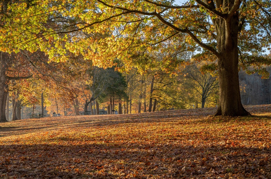 late fall sunrise on a shore of the Tennessee River in Colbert Ferry Park, Natchez Trace National Parkway