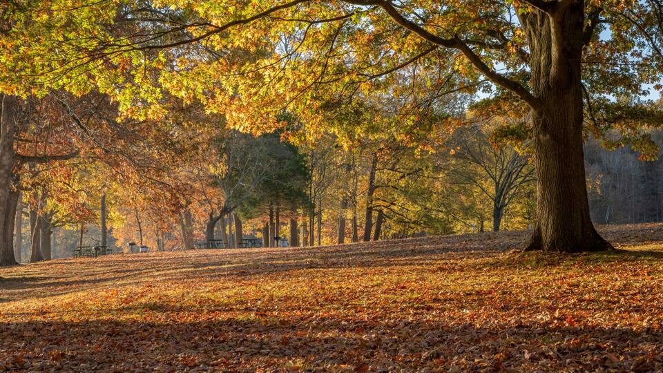 late fall sunrise on a shore of the Tennessee River in Colbert Ferry Park, Natchez Trace National Parkway