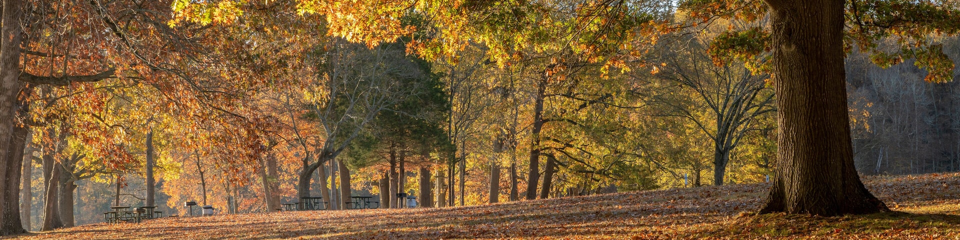 late fall sunrise on a shore of the Tennessee River in Colbert Ferry Park, Natchez Trace National Parkway