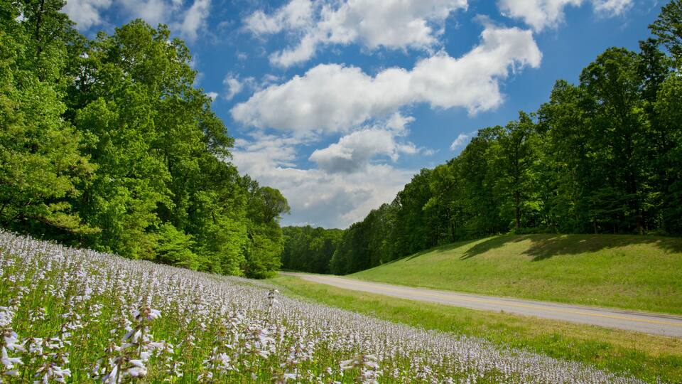 Mile marker 390 to 440, Natchez Trace Parkway, Tennessee and Mississippi, USA