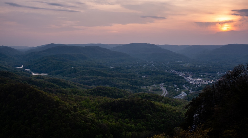 ๋ผํด๋ ํธ