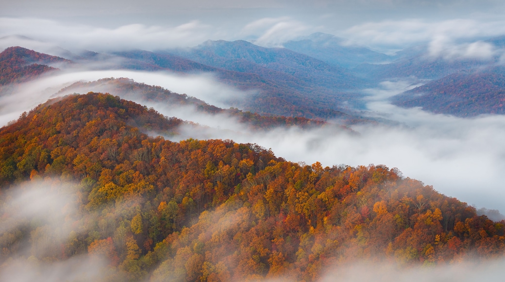 ๋ผํด๋ ํธ