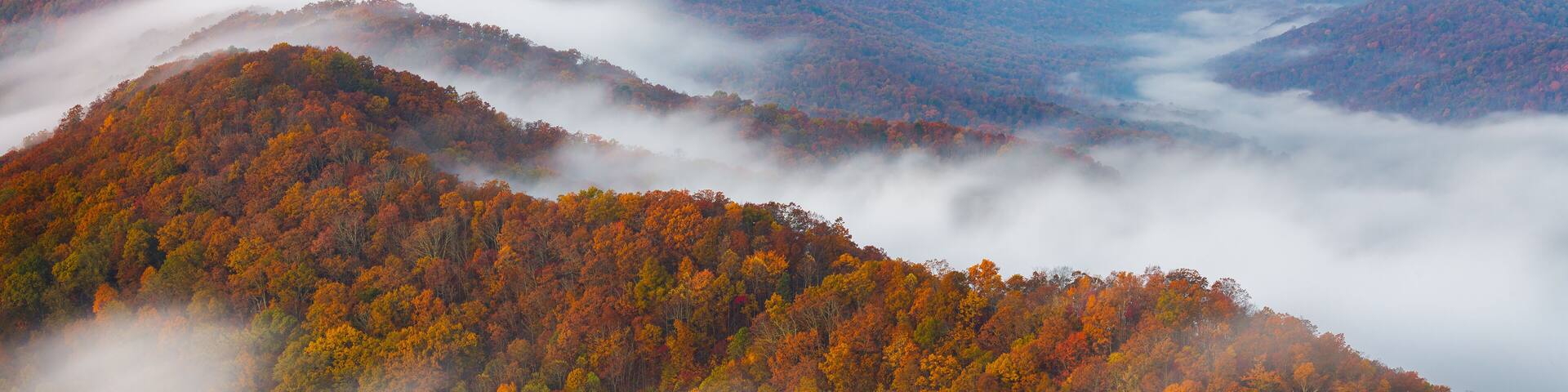 Autumn colors and morning fog, Cumberland Gap National Park