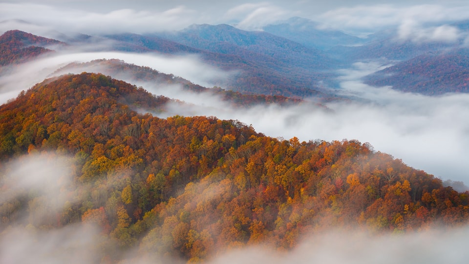 A forested mountain range with autumn foliage and mist.