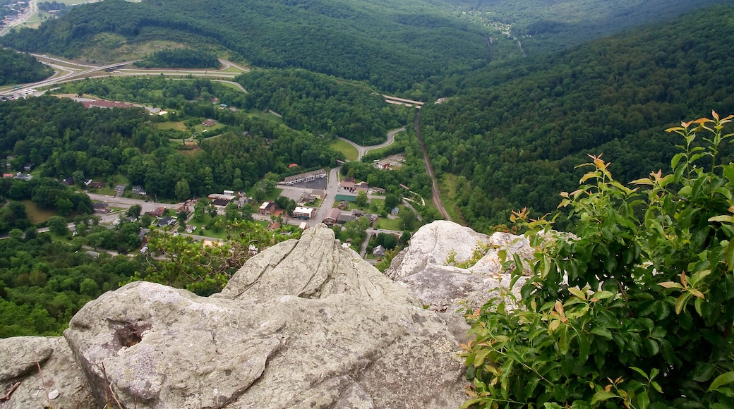 ๋ผํด๋ ํธ