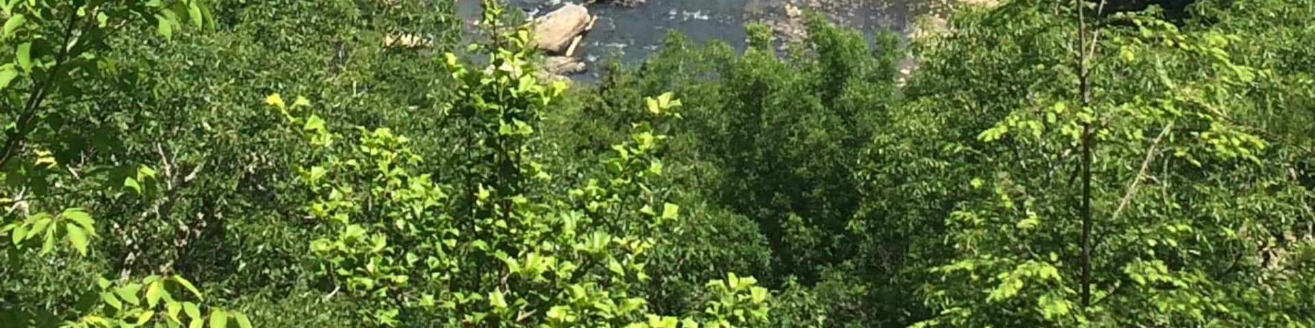 A river winding through a densely forested valley with rocky terrain.