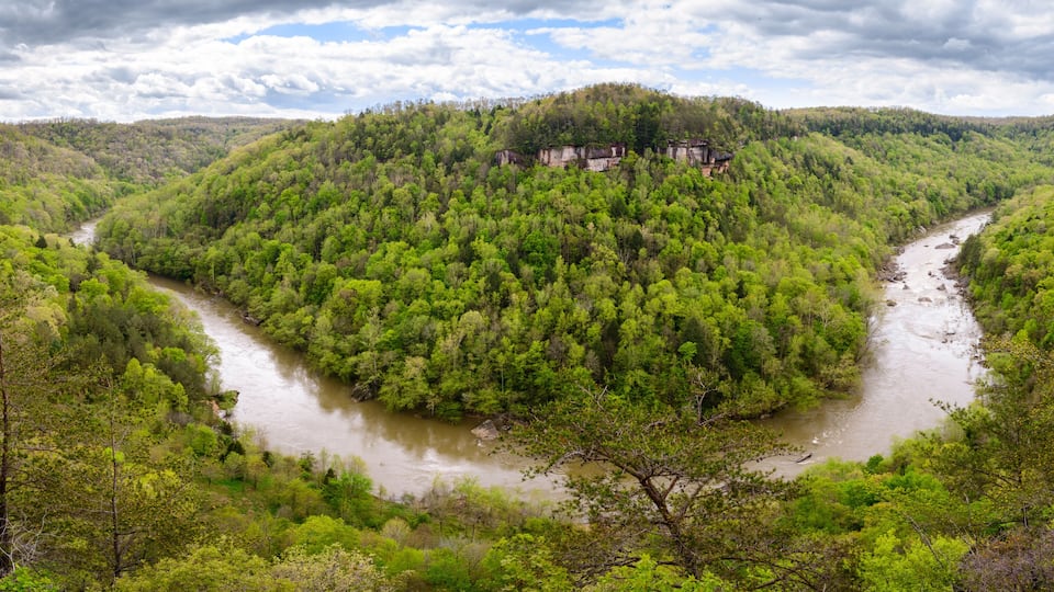 A river winding through a forested valley with a hill in the background.