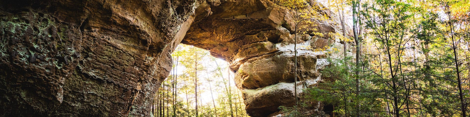 A forest with a large rock archway.