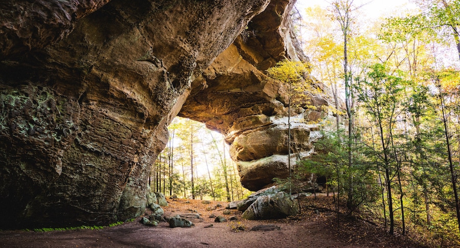 Un bosque con un gran arco de roca.