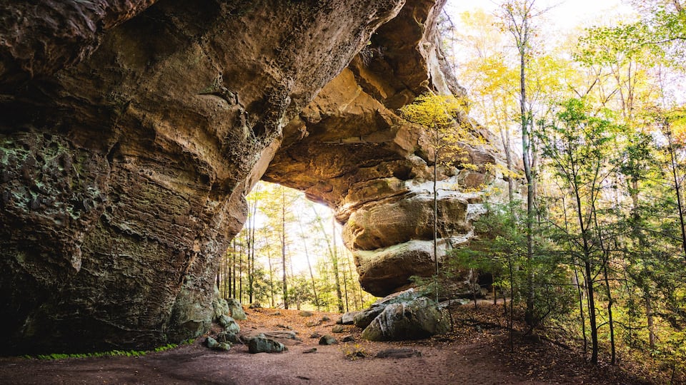 A forest with a large rock archway.