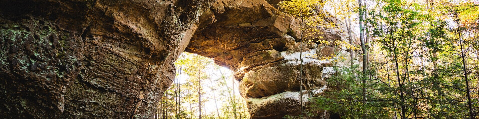 Un bosque con un gran arco de roca.