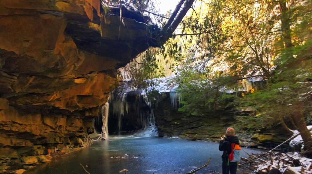 Great day hiking the Honey Creek Loop in Big South Fork, Tennessee