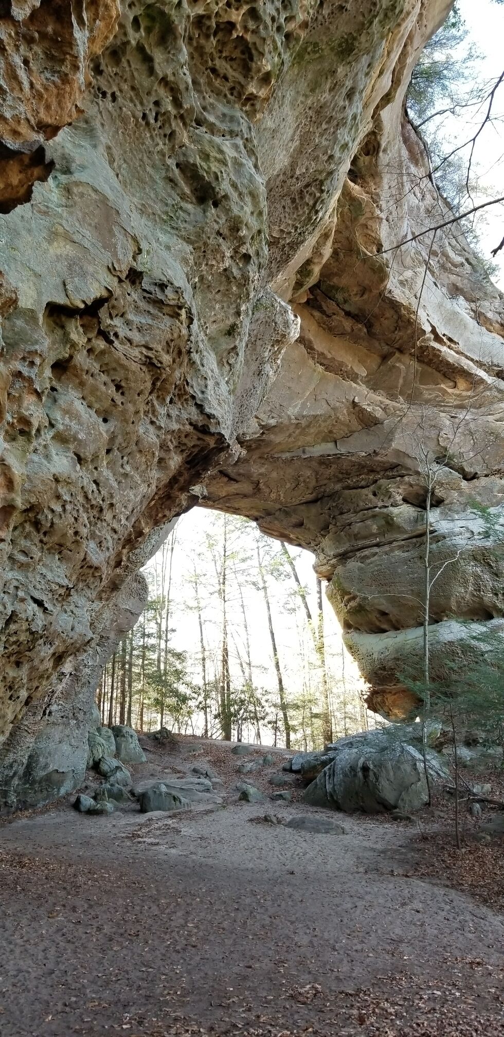 One of the massive beautiful arches we came across on our hike. Amazing!
#nature
