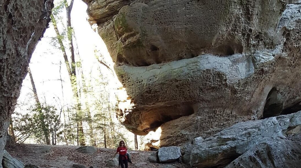 Twin Arches, Dec. 2017