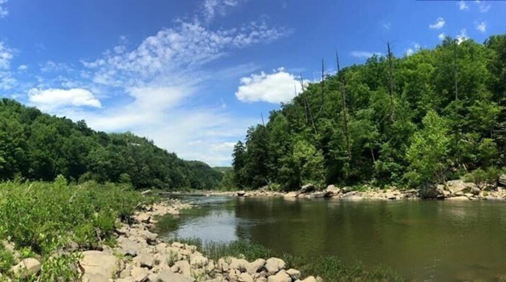 Honey Creek loop trail is one of my all time favorite hikes. It has a lot of unique features and keeps you interested throughout the entire 5.5 mile loop. This spot is located around the half way mark and is just a short hike down to the river from the main trail.
