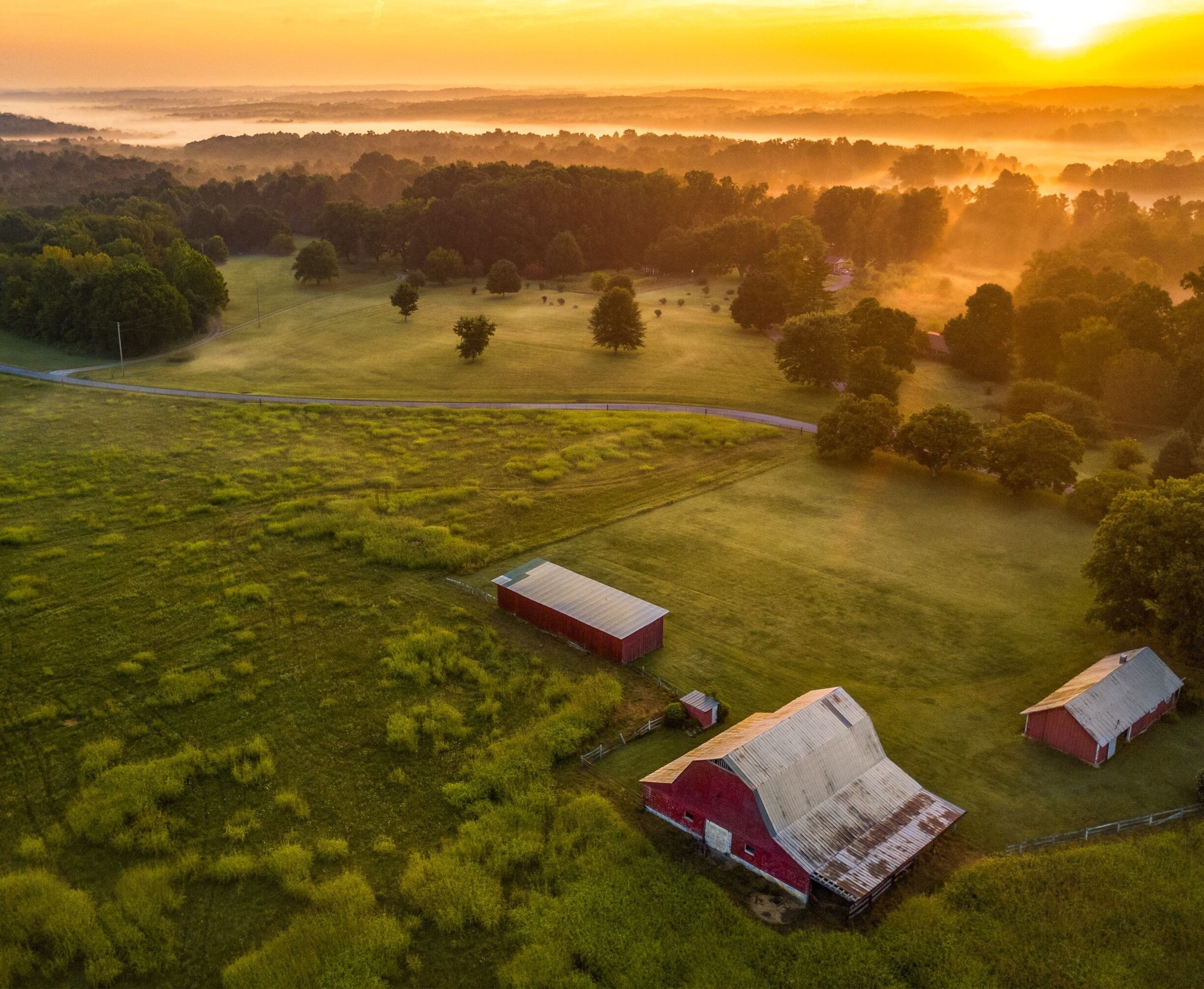 Farm land in Portland, TN