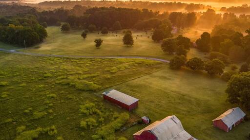 Farm land in Portland, TN