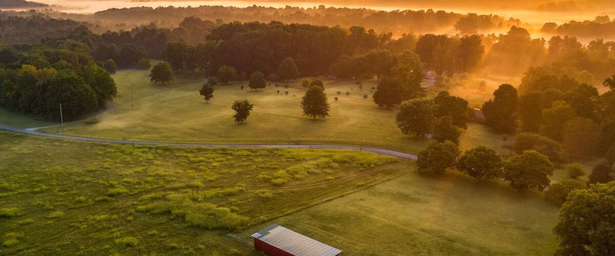 An aerial view of a rural landscape with green fields, a few scattered trees, and two red barns.