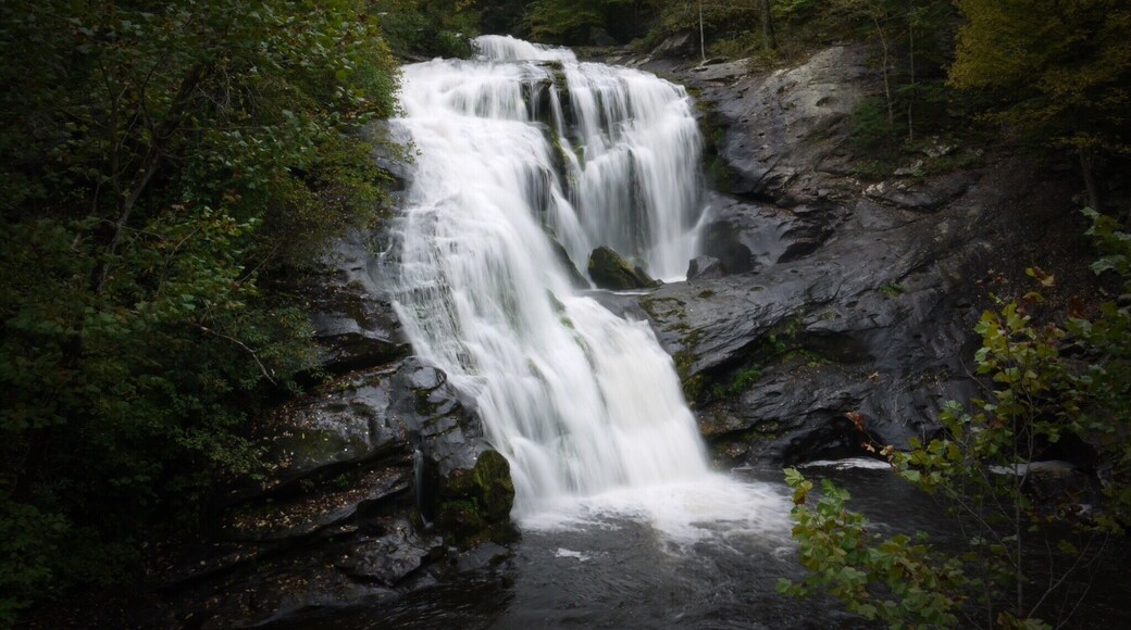 Nice little waterfall in the Cherokee National Forest. Well worth stopping by and visiting when driving the Cherohala Skyway.