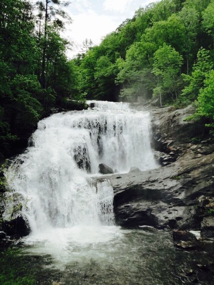 A waterfall cascading over rocks surrounded by dense green forest.