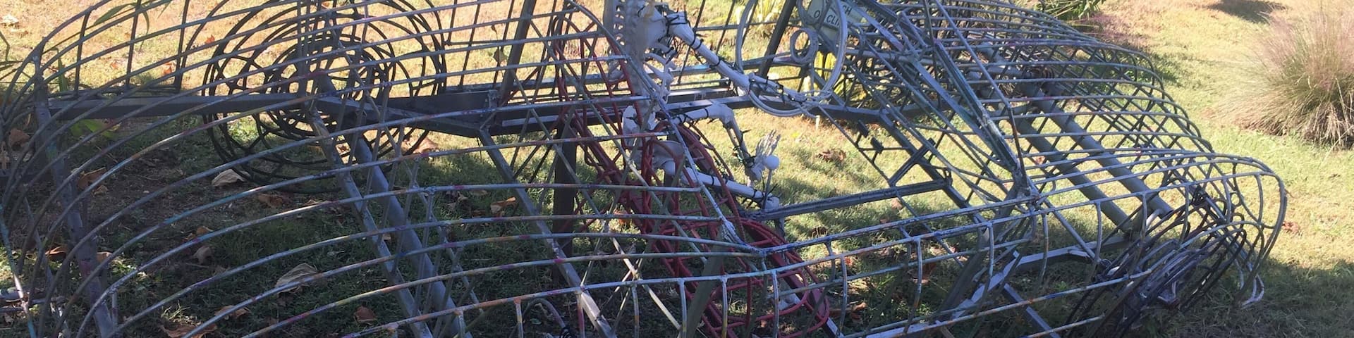 Topiary joe’s work! I love it.