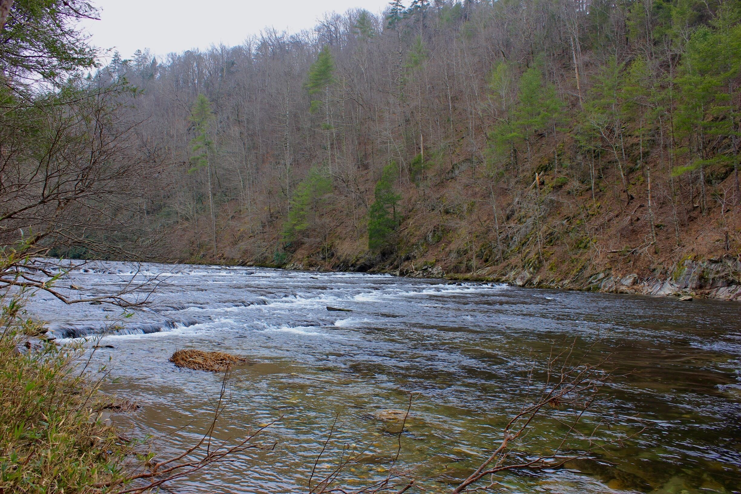 The Tellico River renowned for its brook, brown, and rainbow trout fishing.  This view is from the Cherohala Skyway. 